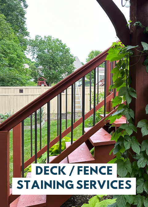 DECK  FENCE STAINING SERVICES